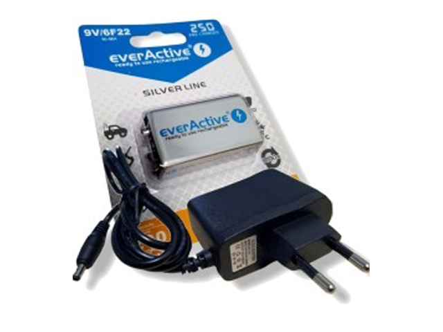 Batterie pour détecteur de métaux (kit de charge)