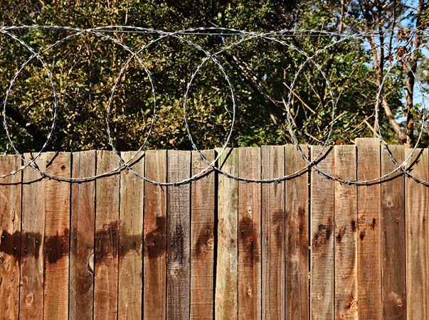 Clôture électrique